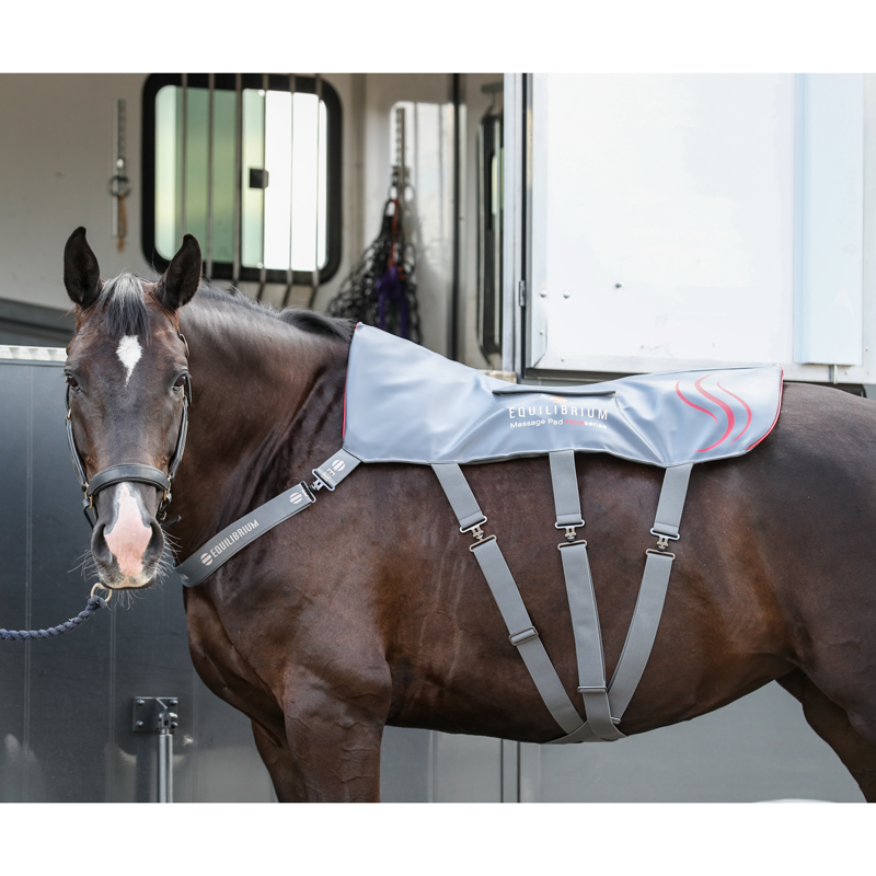 Equilibrium Massage Pad Heatsense - Standard/XL-2